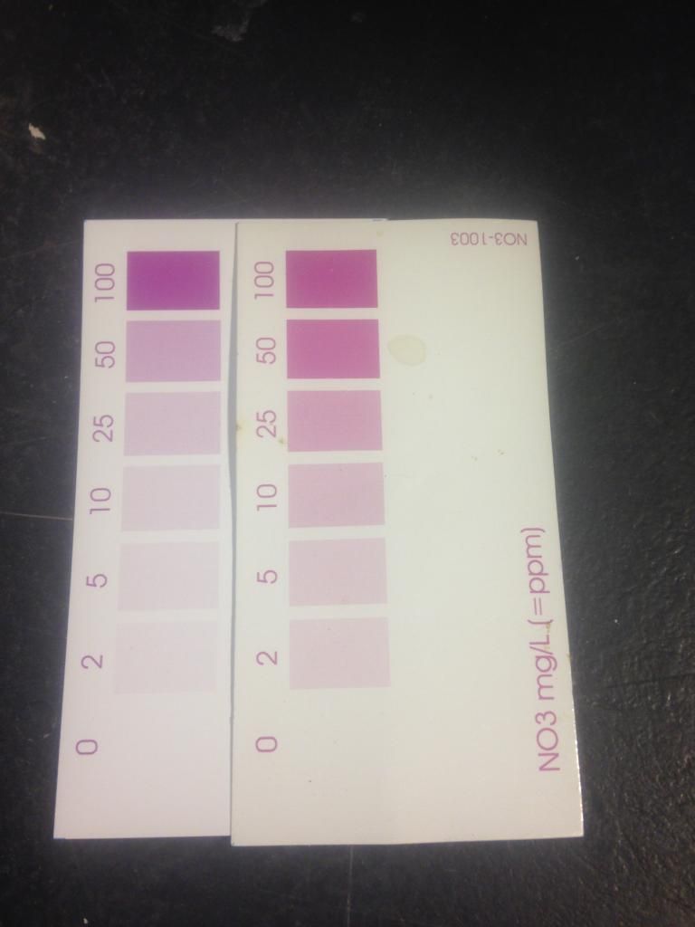 Api Nitrate Color Chart