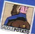 Saddle Potato