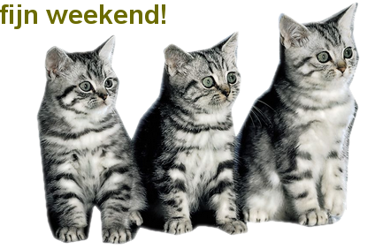 animaatjes-weekend-77265.png