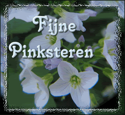fijnepinksteren60539.gif