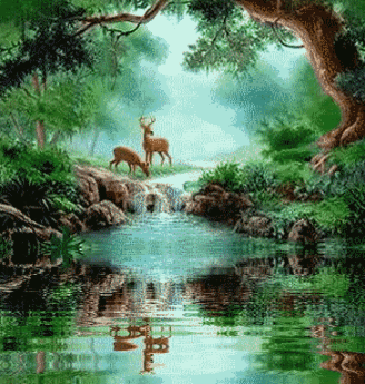 herfstbos007.gif