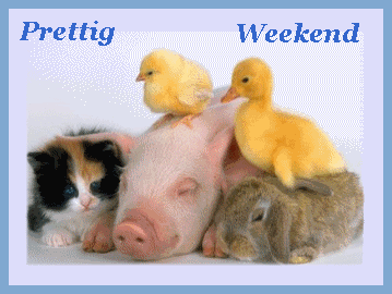 weekend-dierenvriendjes.gif