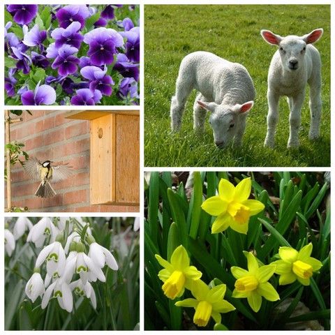 lente141_zps86b15eb2.jpg