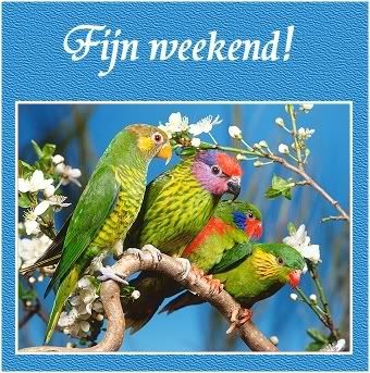 weekend456.jpg