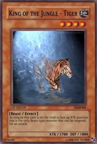 card2.jpg