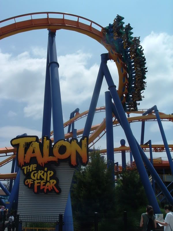 Talon rollercoaster Pictures, Images and Photos