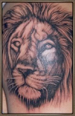 Animal head series - Lion Tattoo Gallery