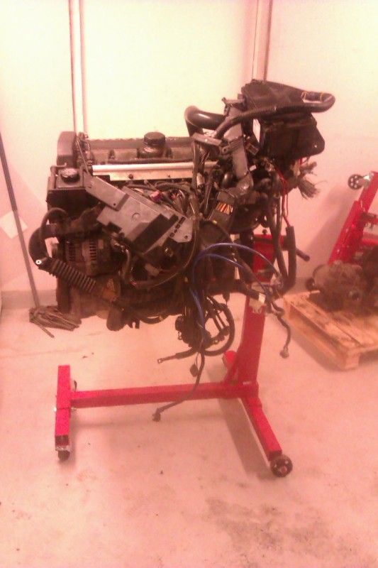Bild