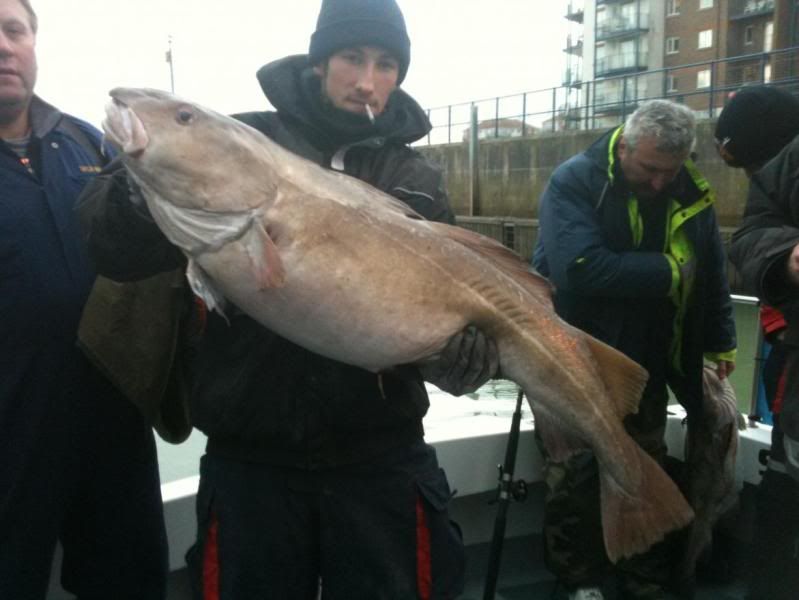 43lbcod2.jpg