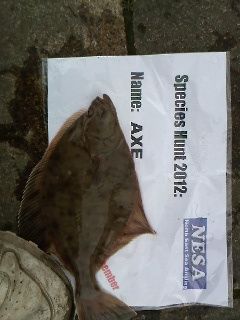 IMG092.jpg