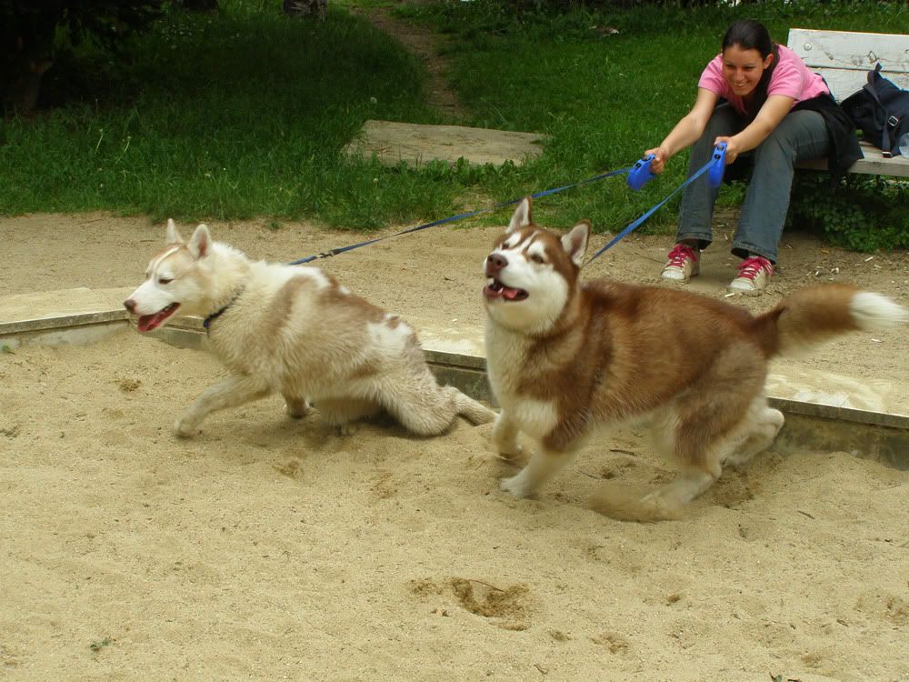 Качена снимка