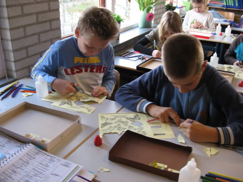 vlinderkastjes maken
