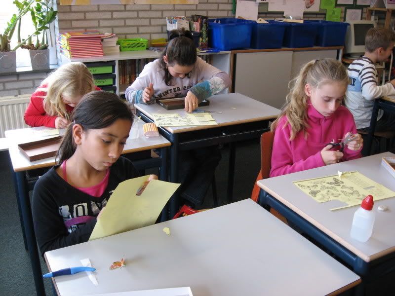 vlinderkastjes maken