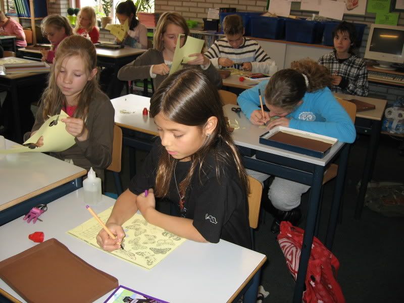 vlinderkastjes maken