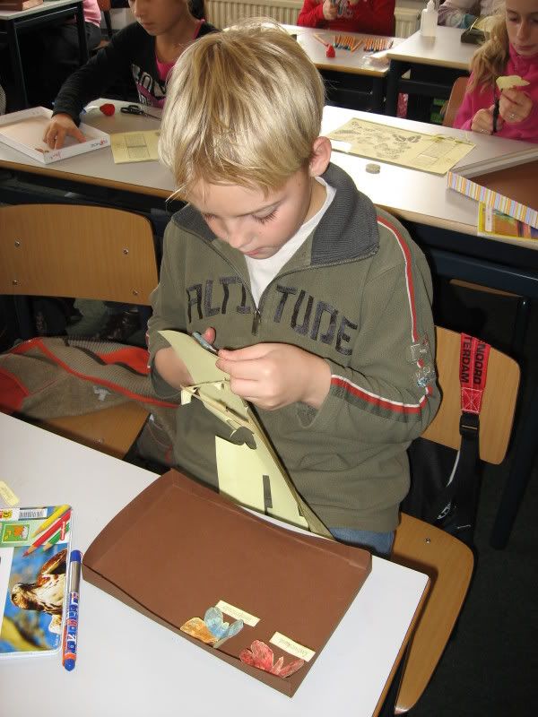 vlinderkastjes maken