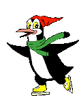 schaatsen pinguin