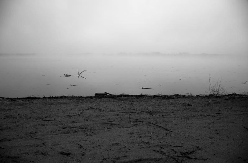 IMAGE: http://i110.photobucket.com/albums/n106/tsrslogtp03/Photography/FoggyLake02_small.jpg