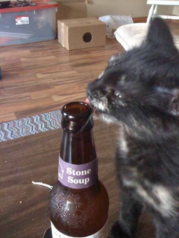 IMAGE: http://i110.photobucket.com/albums/n106/tsrslogtp03/Photography/IMG_0034.jpg