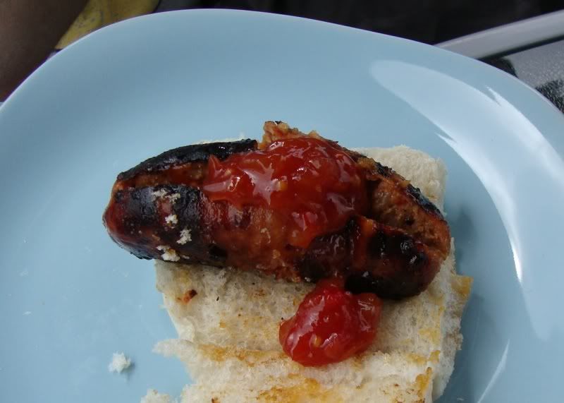 Sainsbury’s Disposable BBQ No Nonsense Reviews