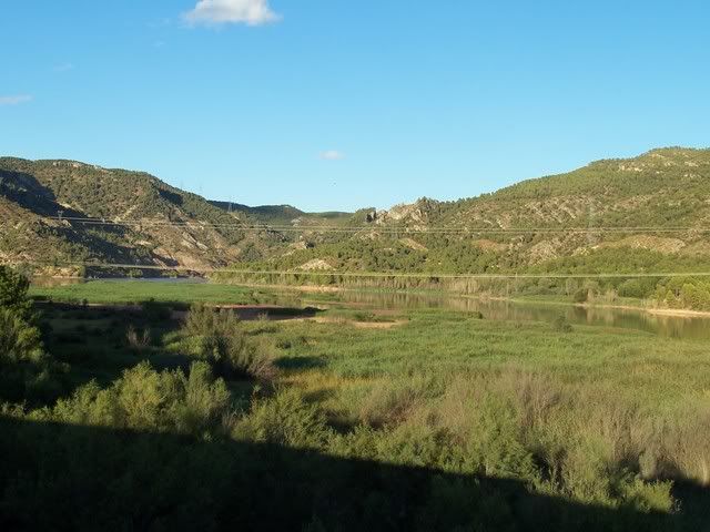 100_1208-1.jpg