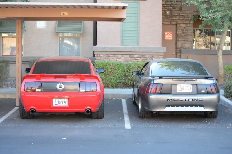 DSC_0036.jpg