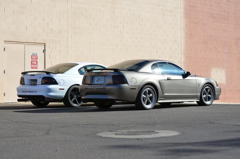 DSC_0586_zps3581bf25.jpg