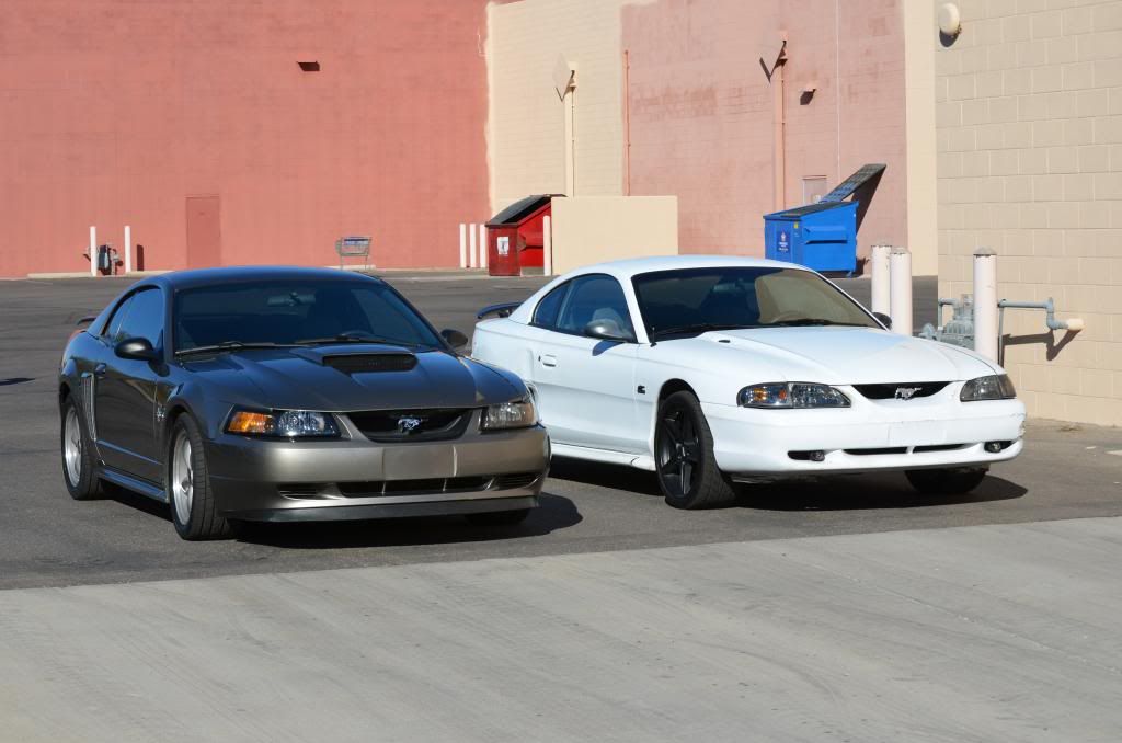 DSC_0587_zps90939e22.jpg