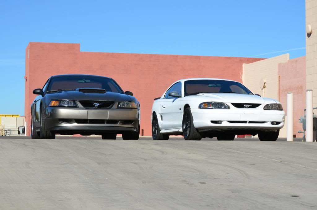 DSC_0588_zps4dd1c3e3.jpg