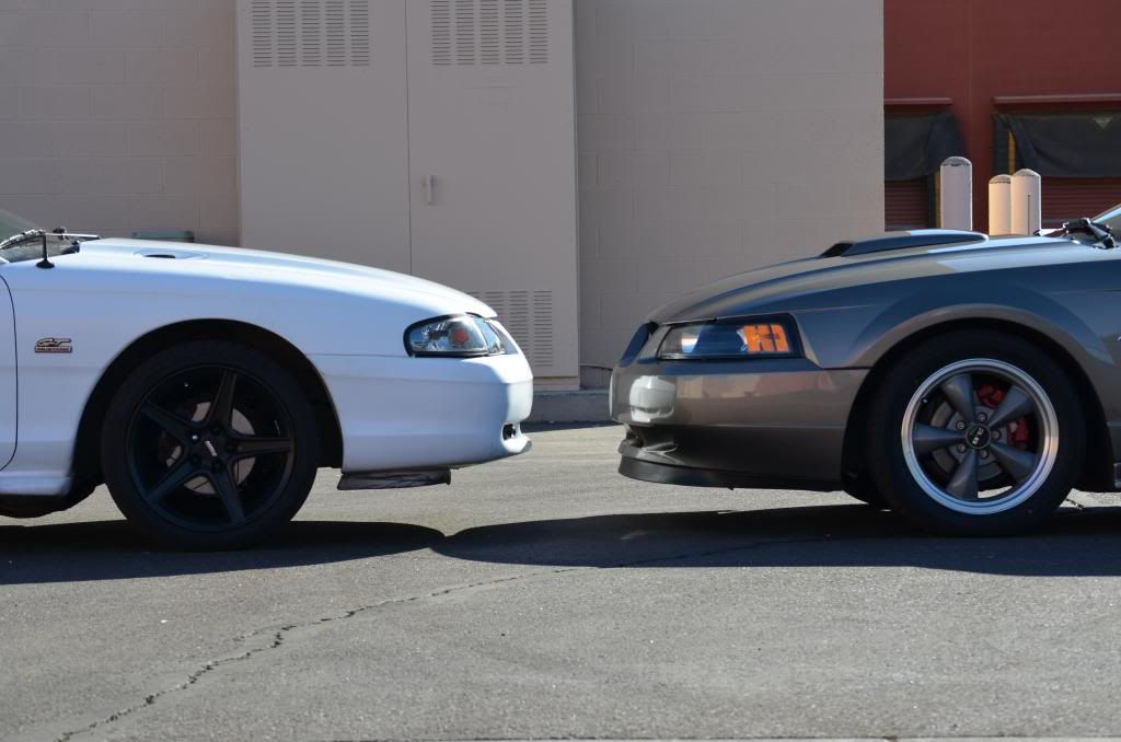 DSC_0590_zpsed963348.jpg