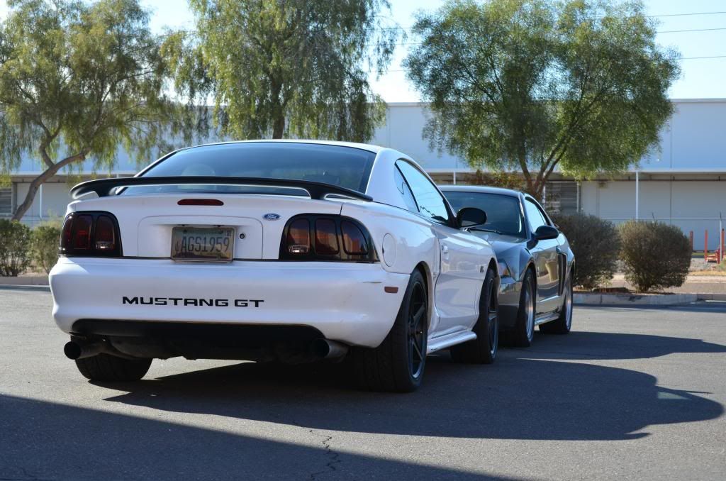 DSC_0596_zpsbc5c9d5e.jpg