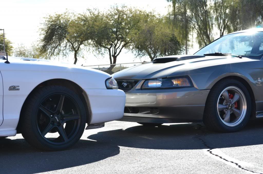 DSC_0598_zps1abe106f.jpg