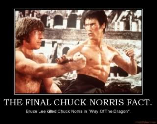 the-final-chuck-norris-fact-bruce-lee-chuck-norris-demotivational-poster-1259789703.jpg