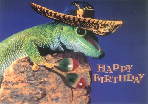 Lizard Happy Birthday