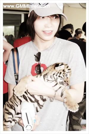 tiger donghae Pictures, Images and Photos