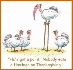 Thanksgivingflamingo.jpg