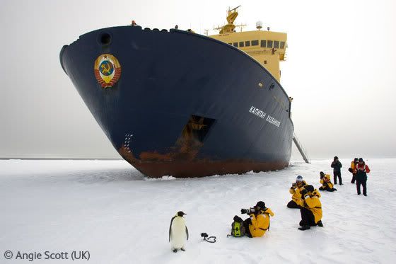 antarctica inhabitants