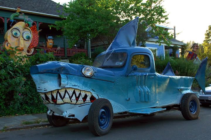 shark driving car