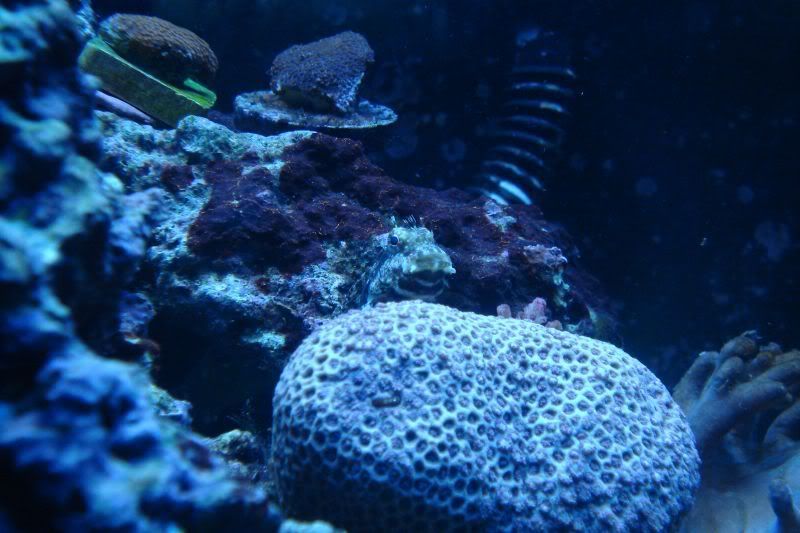 40b310345.jpg