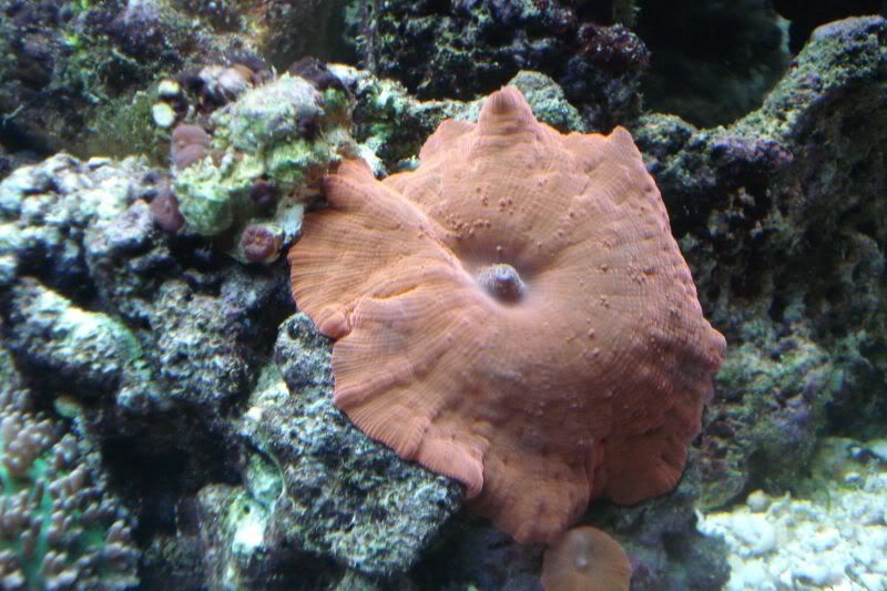 40b310350.jpg