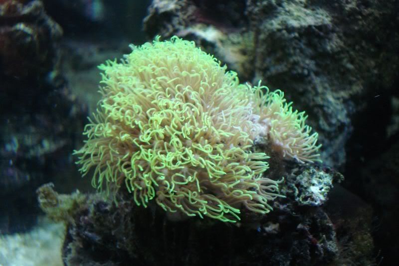 40b310355.jpg