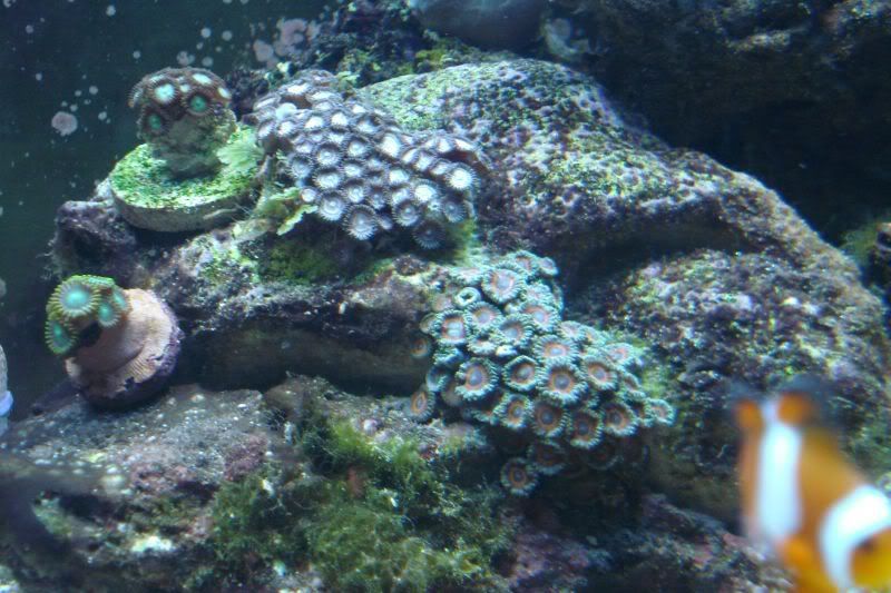 40b310357.jpg