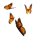 butterflies fluttering
