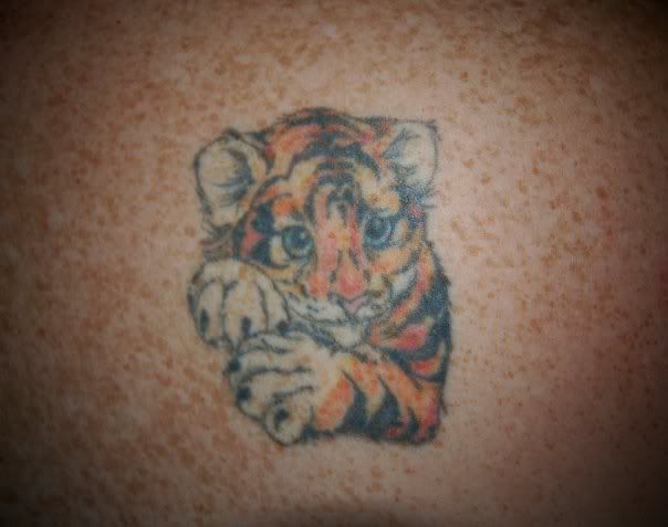 Tigercub.jpg My tiger cub wallpaper tiger cub. Tigercub.jpg My tiger cub