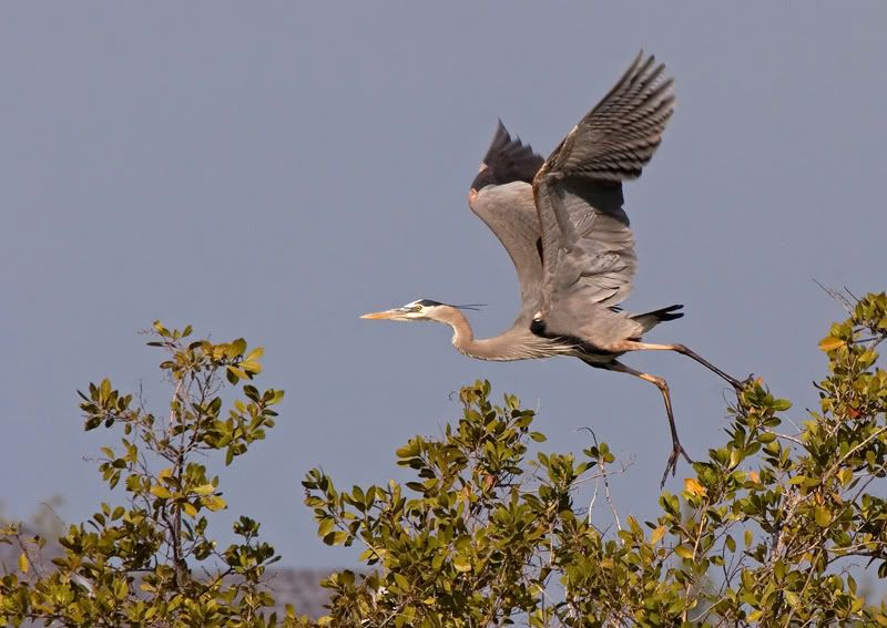 IMAGE: http://i110.photobucket.com/albums/n119/AlexPaul_2006/IMG_09203.jpg