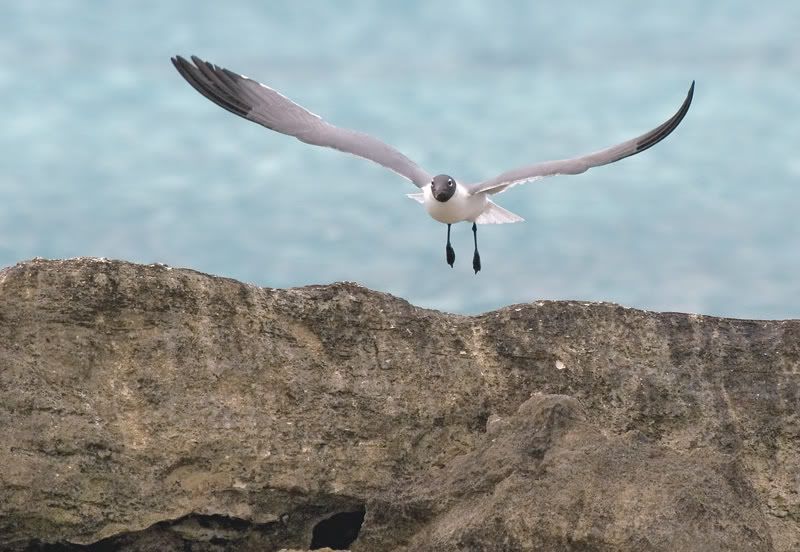 IMAGE: http://i110.photobucket.com/albums/n119/AlexPaul_2006/IMG_10773.jpg