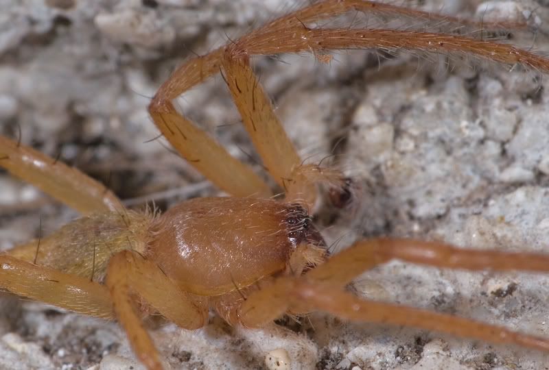 IMAGE: http://i110.photobucket.com/albums/n119/AlexPaul_2006/IMG_3982.jpg