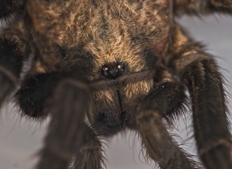 IMAGE: http://i110.photobucket.com/albums/n119/AlexPaul_2006/IMG_42731.jpg