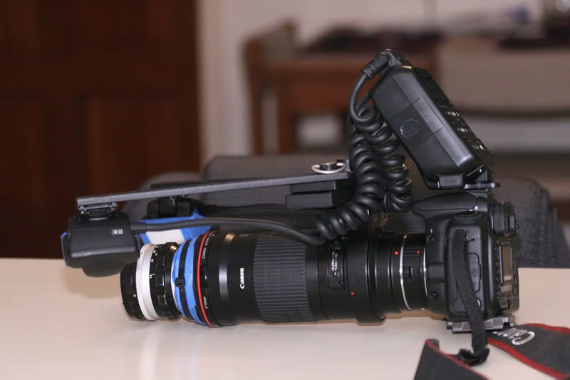 IMAGE: http://i110.photobucket.com/albums/n119/AlexPaul_2006/Macro/400shots0171.jpg