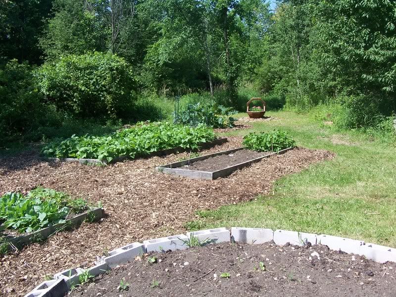 what can you do with cinderblocks? - Homesteading Questions