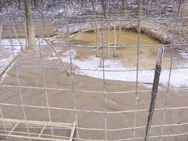 Oh... Chute. - Homesteading Questions